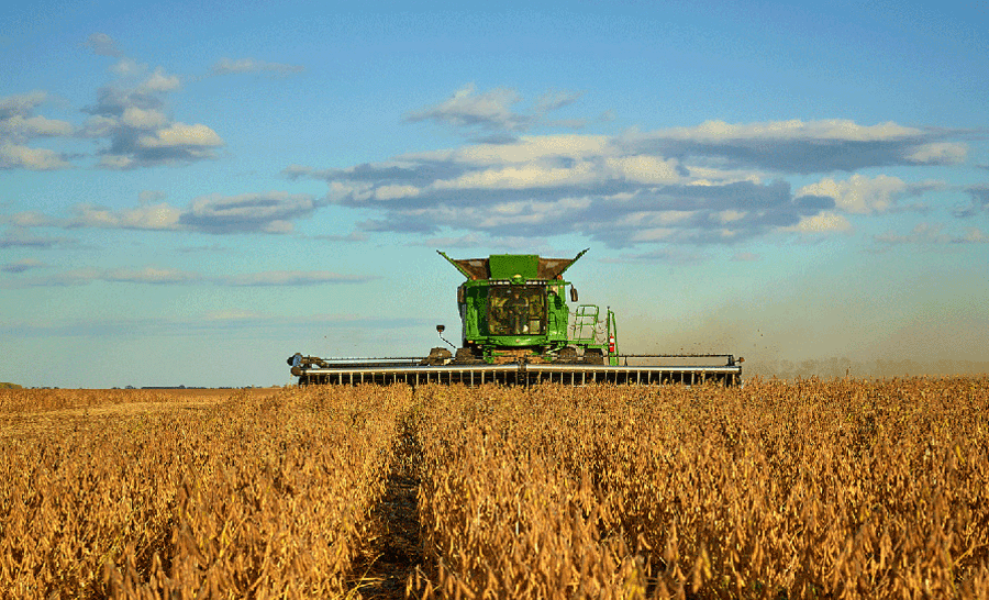 Confirman la suba de retenciones para aceite y harina de soja