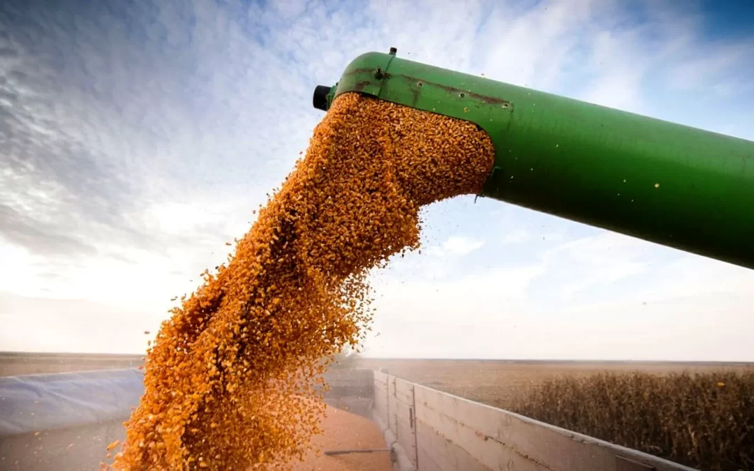 En lo que va de 2022, el sector agroexportador liquidó el máximo histórico de divisas