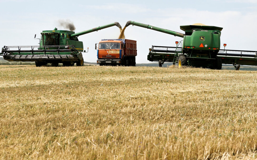Nuevas medidas para el agro: dólar a 300 pesos por 45 días